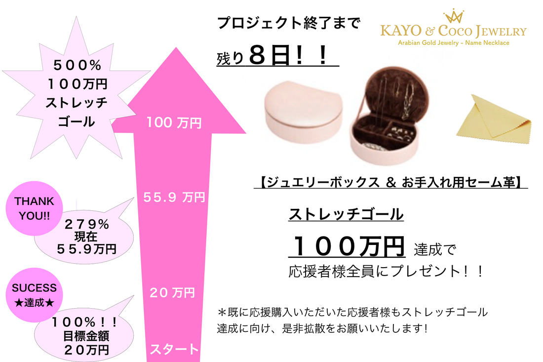 Makuake 残り7日!ストレッチゴール『100万円』を目指します!
