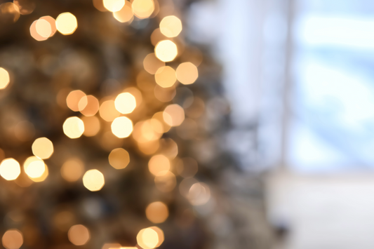 2025年魔法のクリスマスジュエリー締切間近！