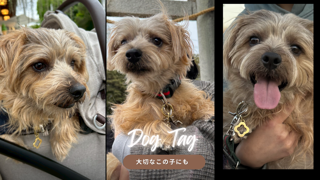 実際にご購入いただいたお客様のリアルなお声